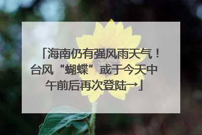海南仍有强风雨天气！台风“蝴蝶”或于今天中午前后再次登陆→