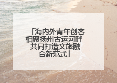 海内外青年创客相聚扬州古运河畔 共同打造文旅融合新范式