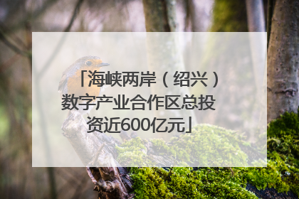 海峡两岸（绍兴）数字产业合作区总投资近600亿元