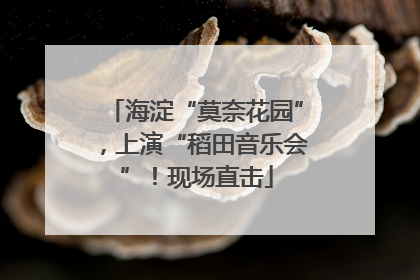 海淀“莫奈花园”，上演“稻田音乐会”！现场直击