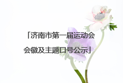 济南市第一届运动会会徽及主题口号公示