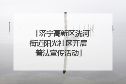 济宁高新区洸河街道阳光社区开展普法宣传活动