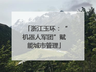 浙江玉环：“机器人军团”赋能城市管理