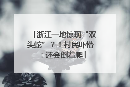 浙江一地惊现“双头蛇”？！村民吓懵：还会倒着爬