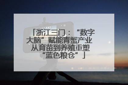 浙江三门：“数字大脑”赋能青蟹产业 从育苗到养殖重塑“蓝色粮仓”