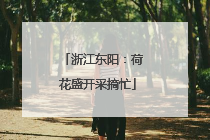 浙江东阳：荷花盛开采摘忙
