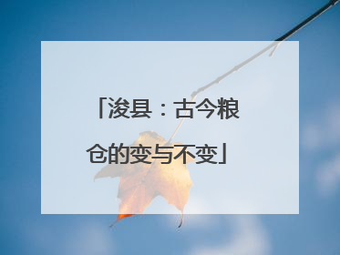 浚县：古今粮仓的变与不变
