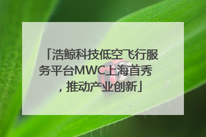 浩鲸科技低空飞行服务平台MWC上海首秀，推动产业创新