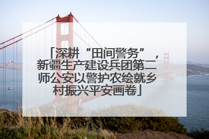 深耕“田间警务”，新疆生产建设兵团第二师公安以警护农绘就乡村振兴平安画卷