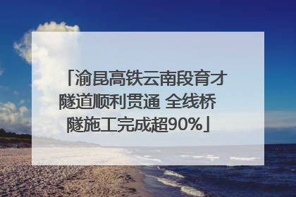 渝昆高铁云南段育才隧道顺利贯通 全线桥隧施工完成超90%