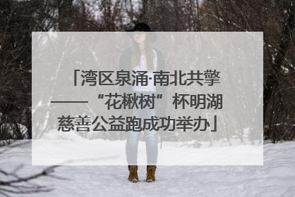 湾区泉涌·南北共擎——“花楸树”杯明湖慈善公益跑成功举办