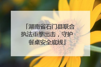 湖南省石门县联合执法重拳出击，守护餐桌安全底线