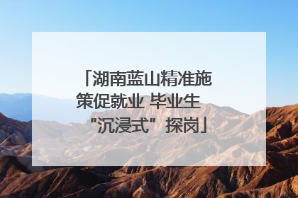 湖南蓝山精准施策促就业 毕业生“沉浸式”探岗