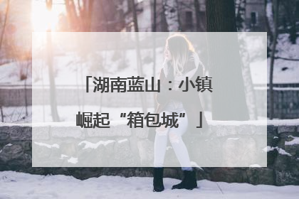 湖南蓝山：小镇崛起“箱包城”