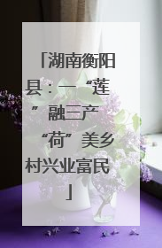 湖南衡阳县：一“莲”融三产 “荷”美乡村兴业富民
