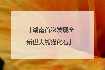 湖南首次发现全新世大熊猫化石