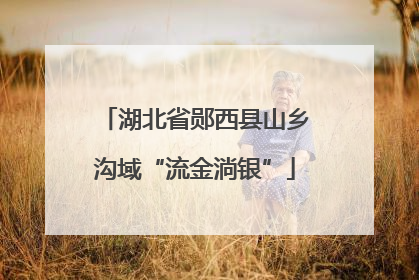 湖北省郧西县山乡沟域“流金淌银”