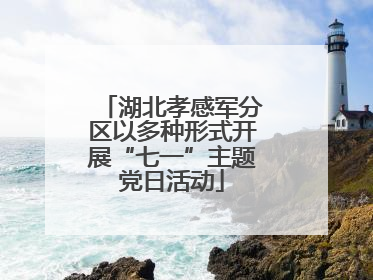 湖北孝感军分区以多种形式开展“七一”主题党日活动