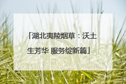 湖北夷陵烟草：沃土生芳华 服务绽新篇