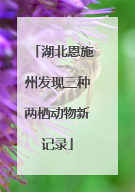 湖北恩施州发现三种两栖动物新记录