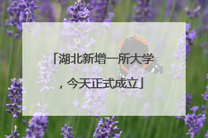 湖北新增一所大学，今天正式成立