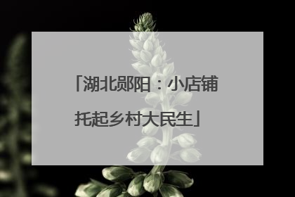 湖北郧阳：小店铺托起乡村大民生