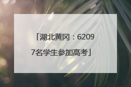 湖北黄冈：62097名学生参加高考