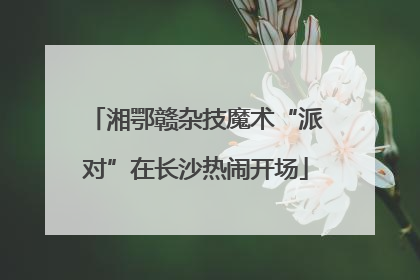 湘鄂赣杂技魔术“派对”在长沙热闹开场