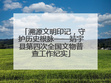 溯源文明印记，守护历史根脉——靖宇县第四次全国文物普查工作纪实