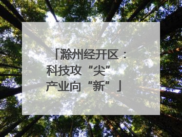 滁州经开区：科技攻“尖” 产业向“新”