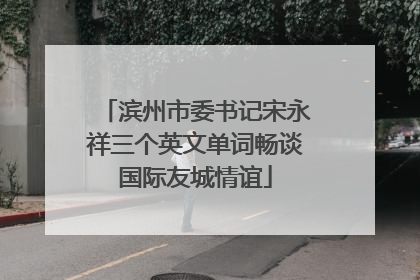 滨州市委书记宋永祥三个英文单词畅谈国际友城情谊