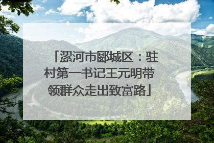 漯河市郾城区：驻村第一书记王元明带领群众走出致富路