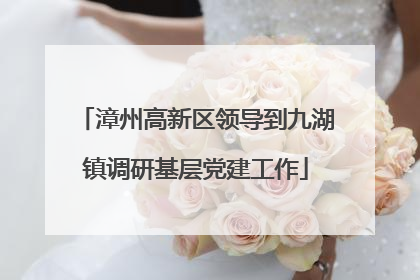 漳州高新区领导到九湖镇调研基层党建工作