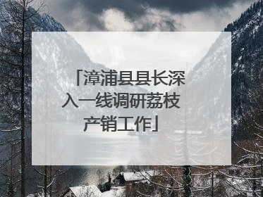 漳浦县县长深入一线调研荔枝产销工作