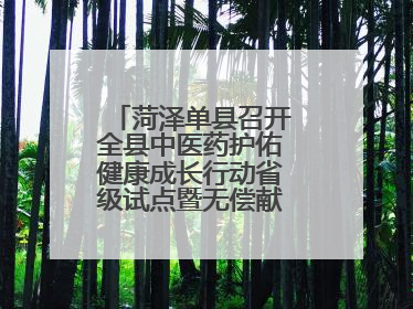 菏泽单县召开全县中医药护佑健康成长行动省级试点暨无偿献血工作会议