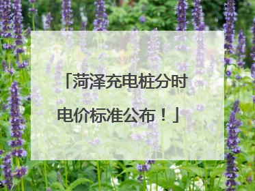 菏泽充电桩分时电价标准公布！
