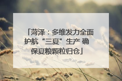 菏泽：多维发力全面护航“三夏”生产 确保夏粮颗粒归仓