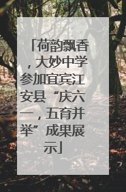 荷韵飘香，大妙中学参加宜宾江安县“庆六一，五育并举”成果展示