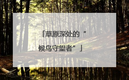 草原深处的“候鸟守望者”