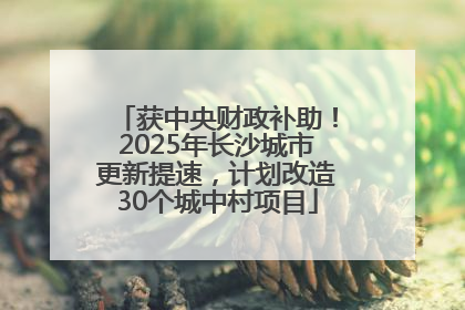 获中央财政补助！2025年长沙城市更新提速，计划改造30个城中村项目