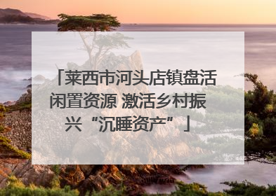 莱西市河头店镇盘活闲置资源 激活乡村振兴“沉睡资产”