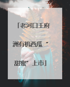 老河口王府洲有机西瓜“甜蜜”上市