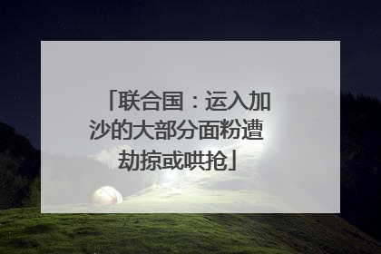 联合国：运入加沙的大部分面粉遭劫掠或哄抢