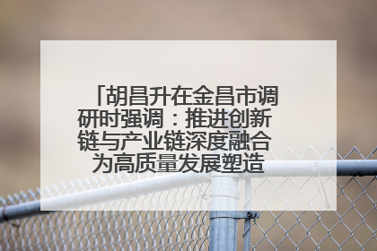 胡昌升在金昌市调研时强调：推进创新链与产业链深度融合 为高质量发展塑造新动能新优势