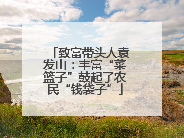 致富带头人袁发山：丰富“菜篮子”鼓起了农民“钱袋子”