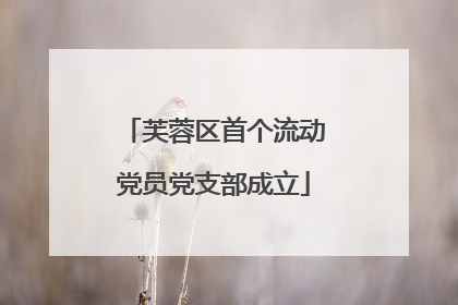 芙蓉区首个流动党员党支部成立