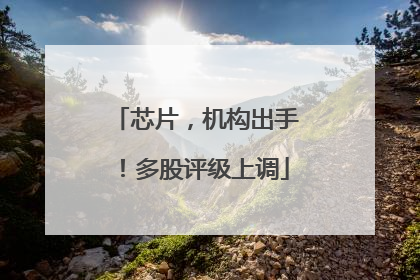 芯片，机构出手！多股评级上调