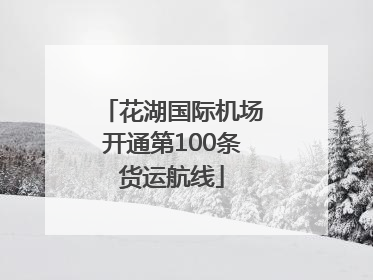 花湖国际机场开通第100条货运航线