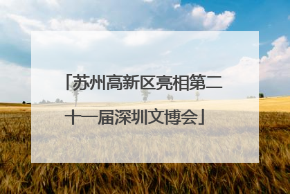 苏州高新区亮相第二十一届深圳文博会