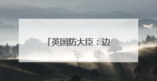 英国防大臣：边境“已经失控”